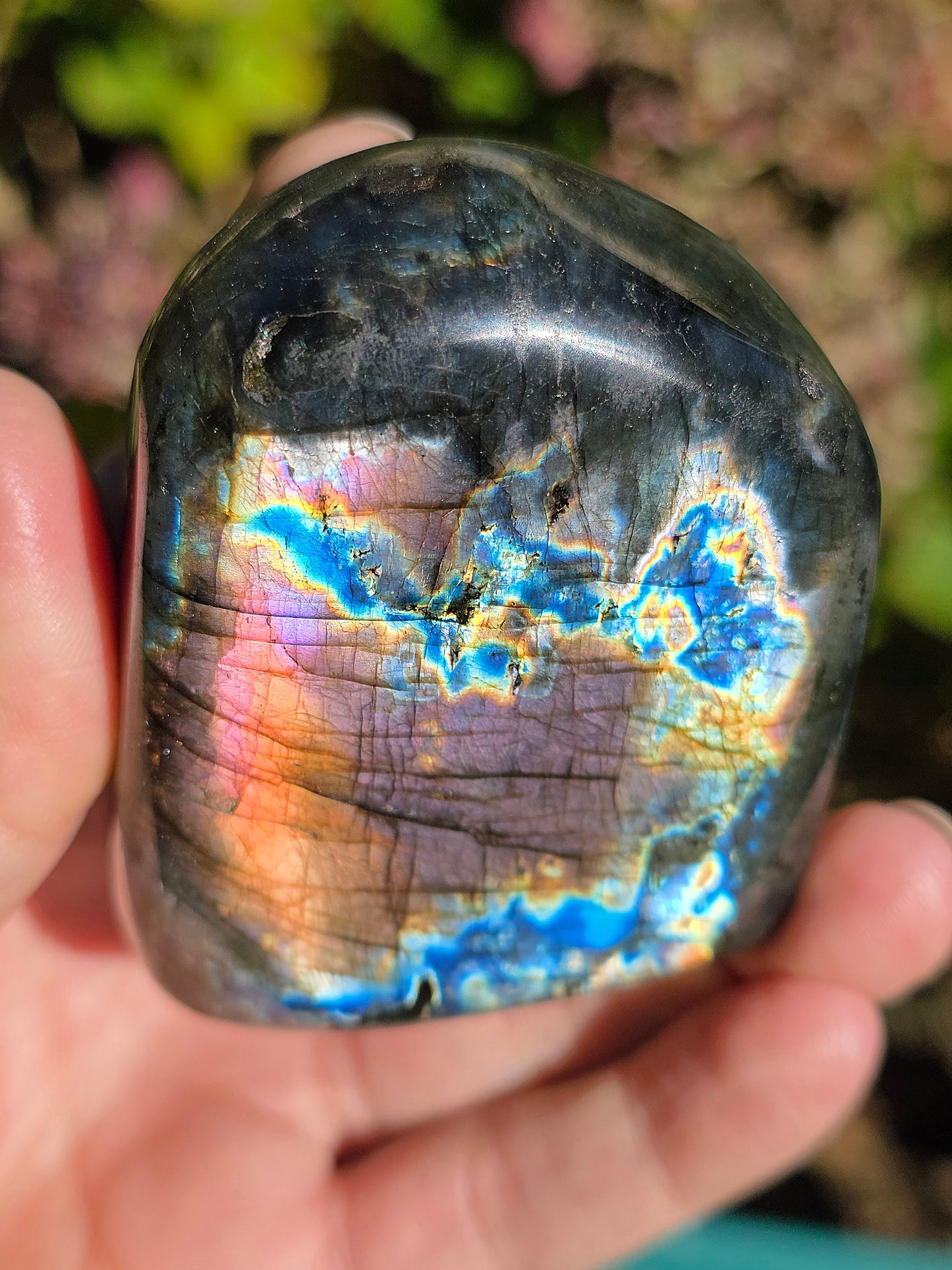 Forme libre Labradorite L1