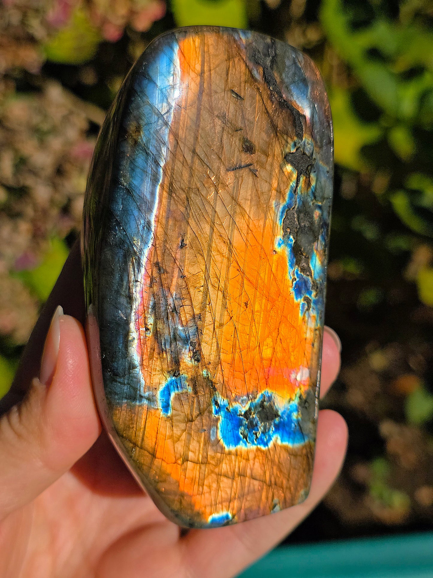 Forme libre Labradorite L4