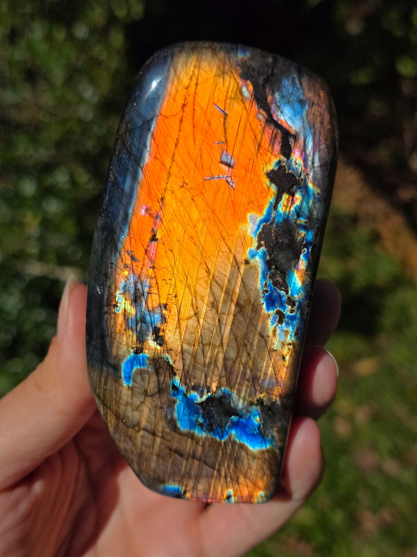 Forme libre Labradorite L4