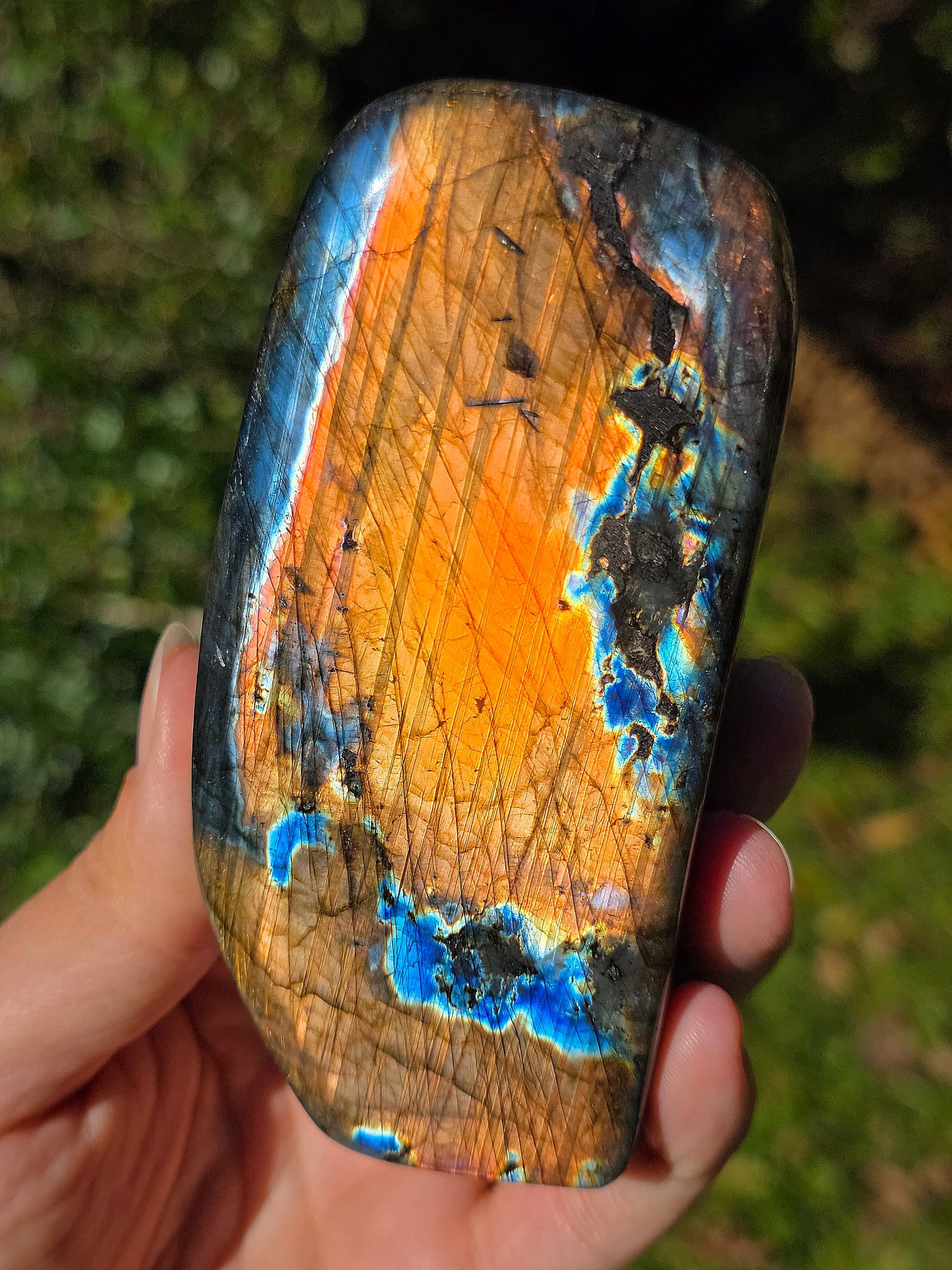 Forme libre Labradorite L4
