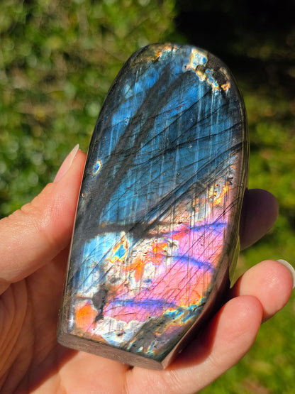 Forme libre Labradorite L4