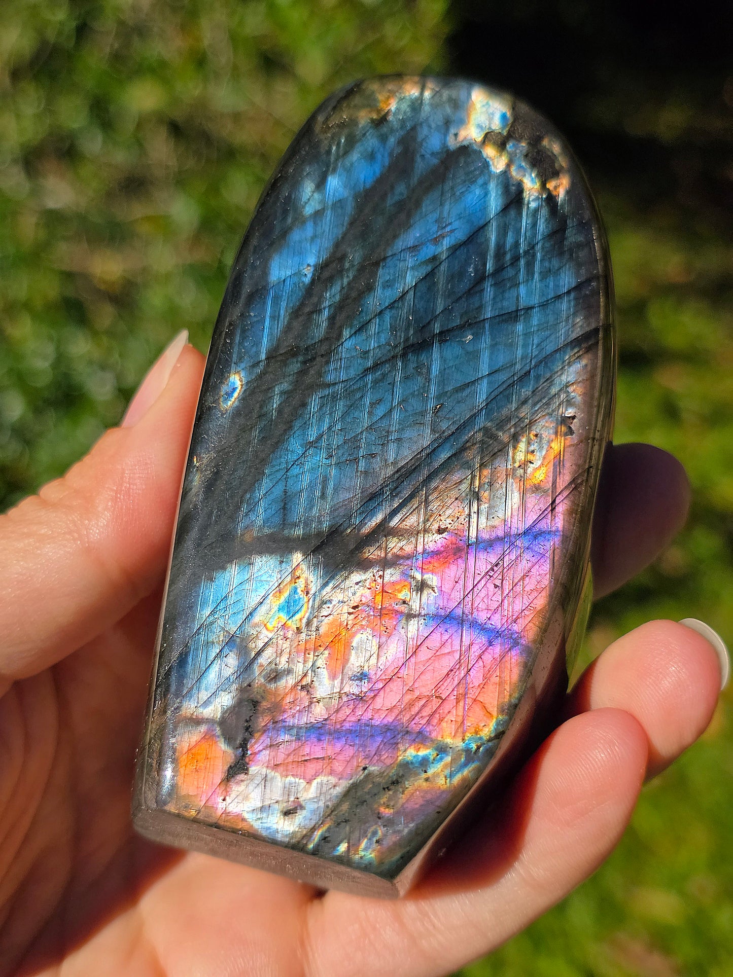 Forme libre Labradorite L4