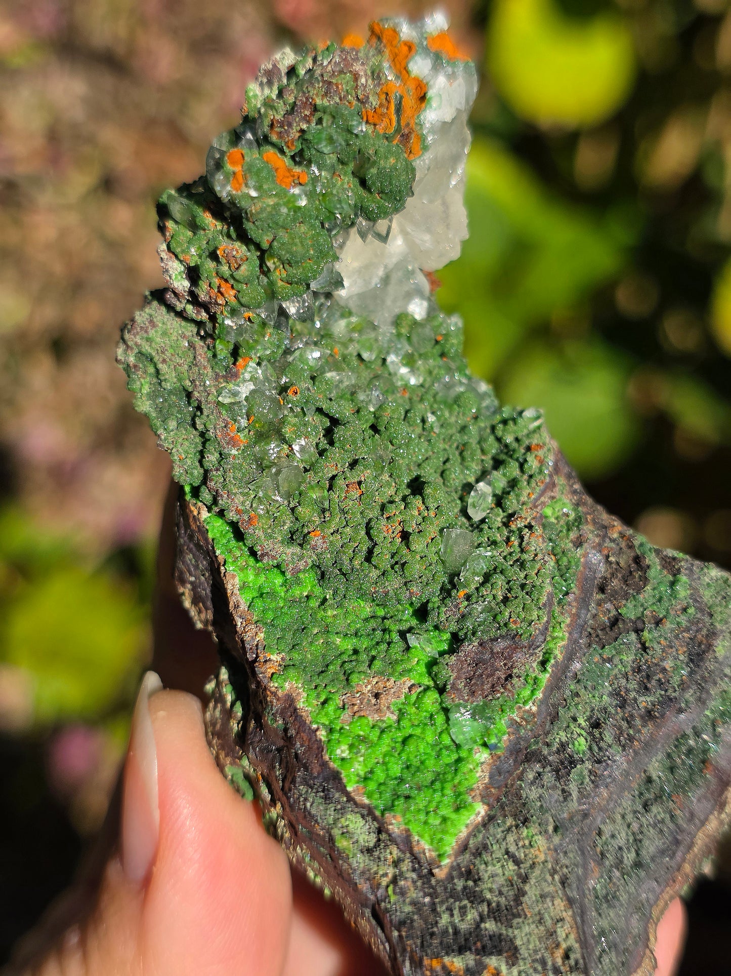 Conichalcite du Mexique