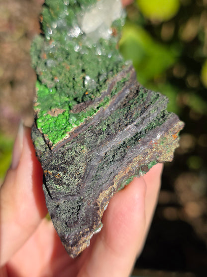 Conichalcite du Mexique