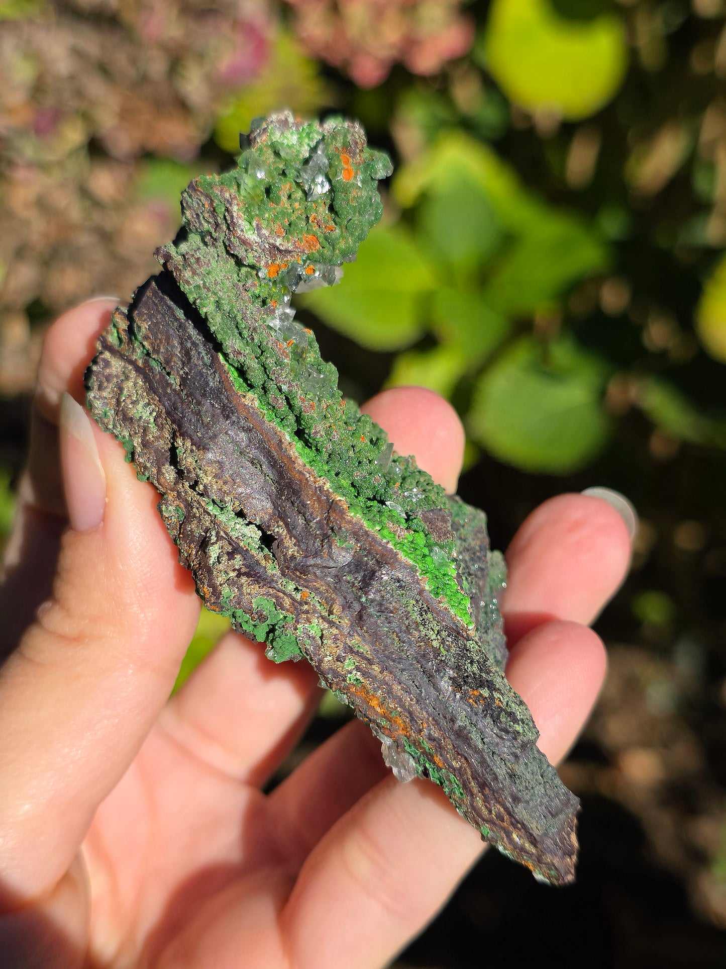 Conichalcite du Mexique