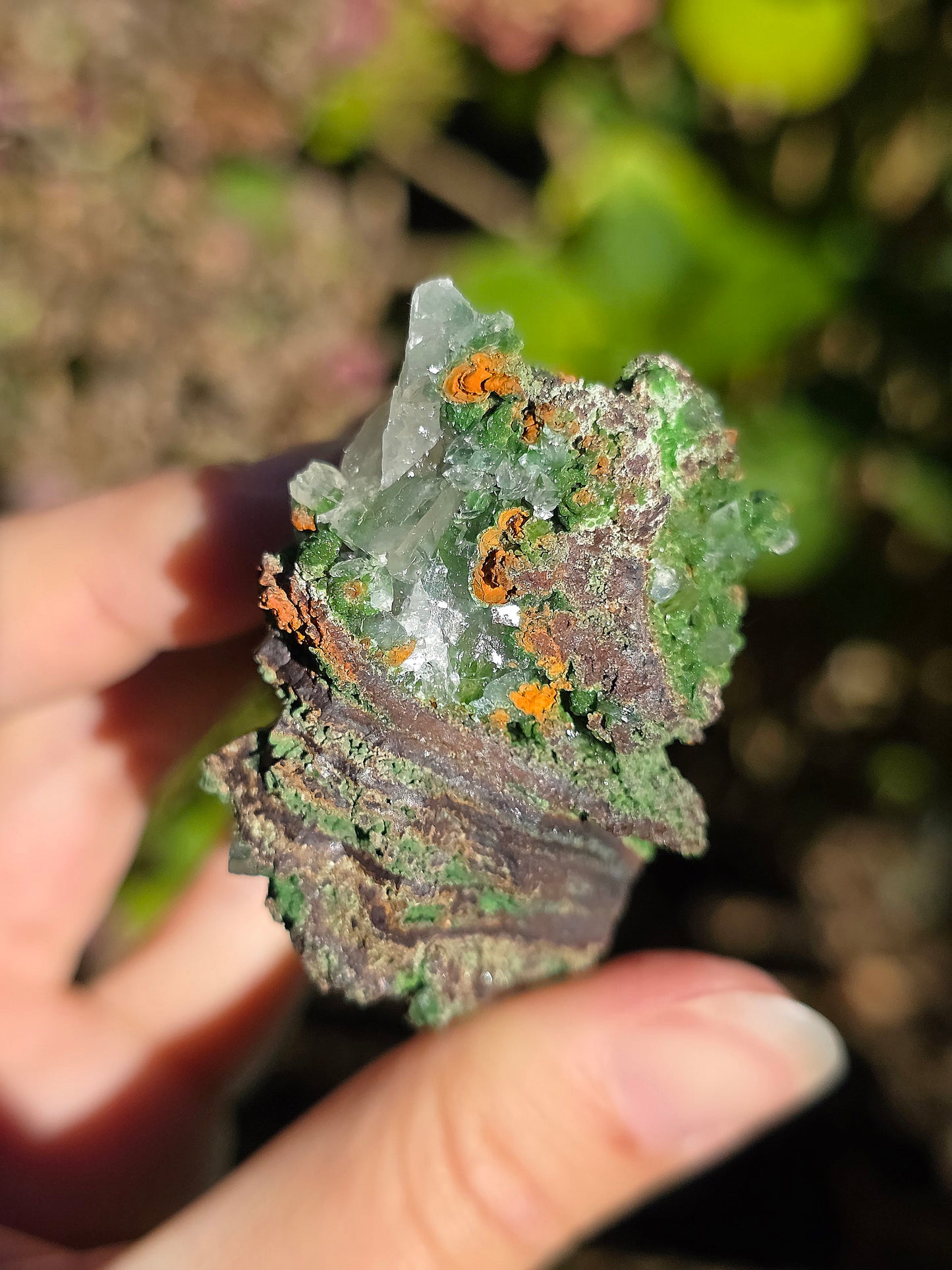 Conichalcite du Mexique