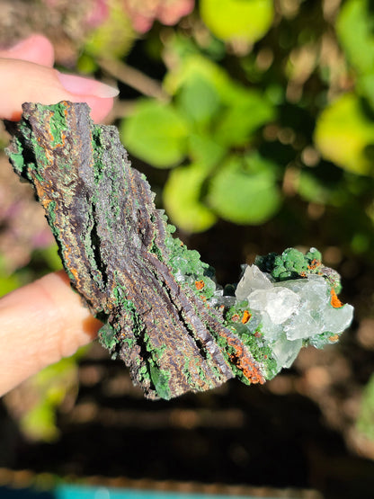 Conichalcite du Mexique