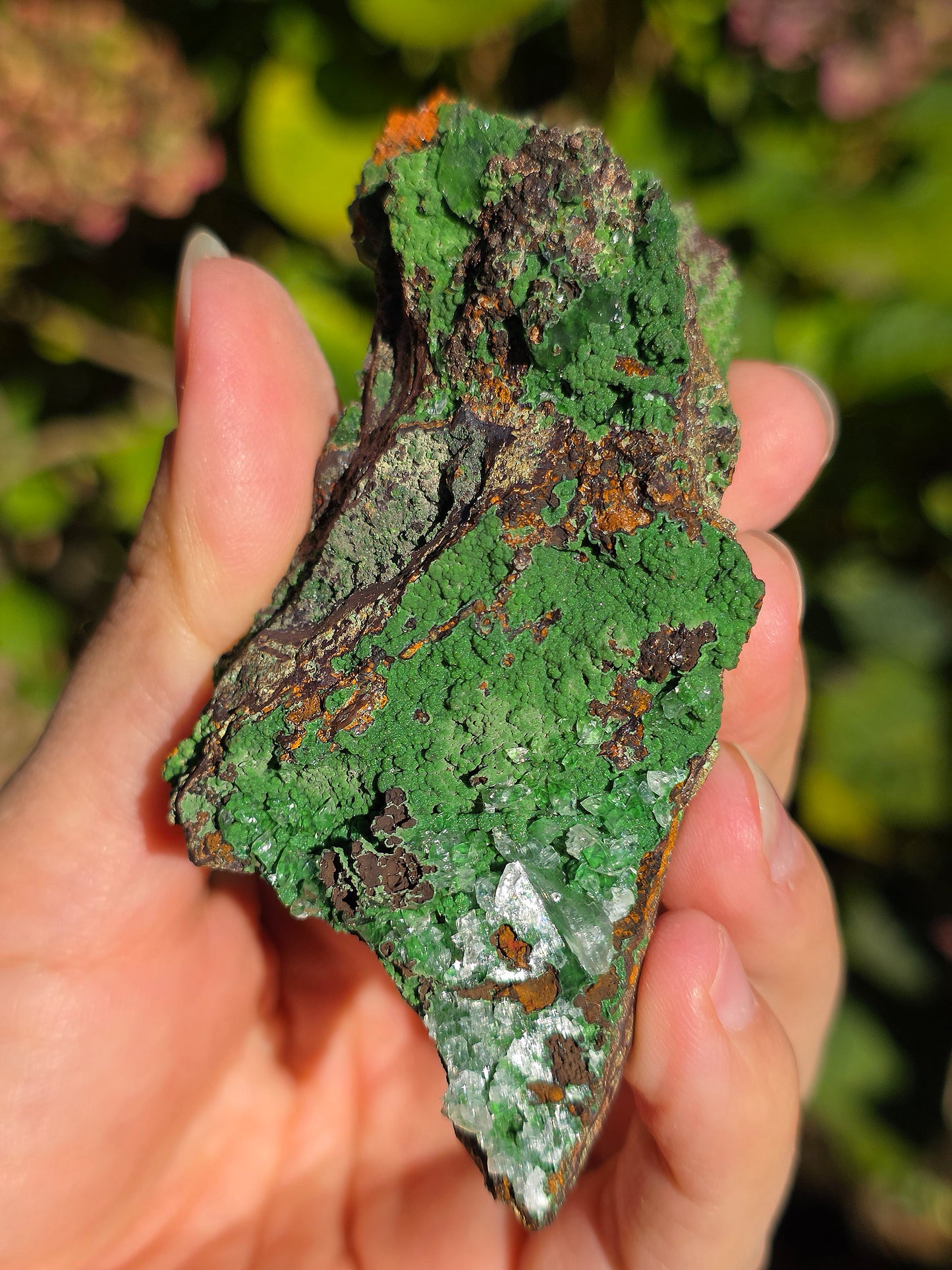 Conichalcite du Mexique