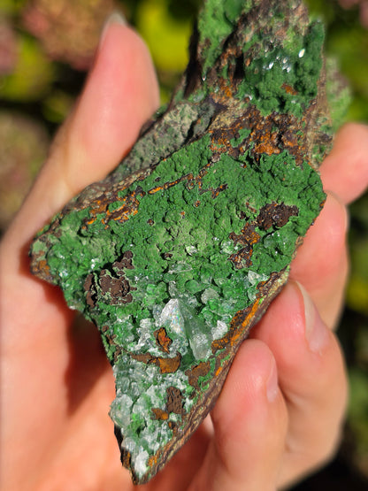Conichalcite du Mexique