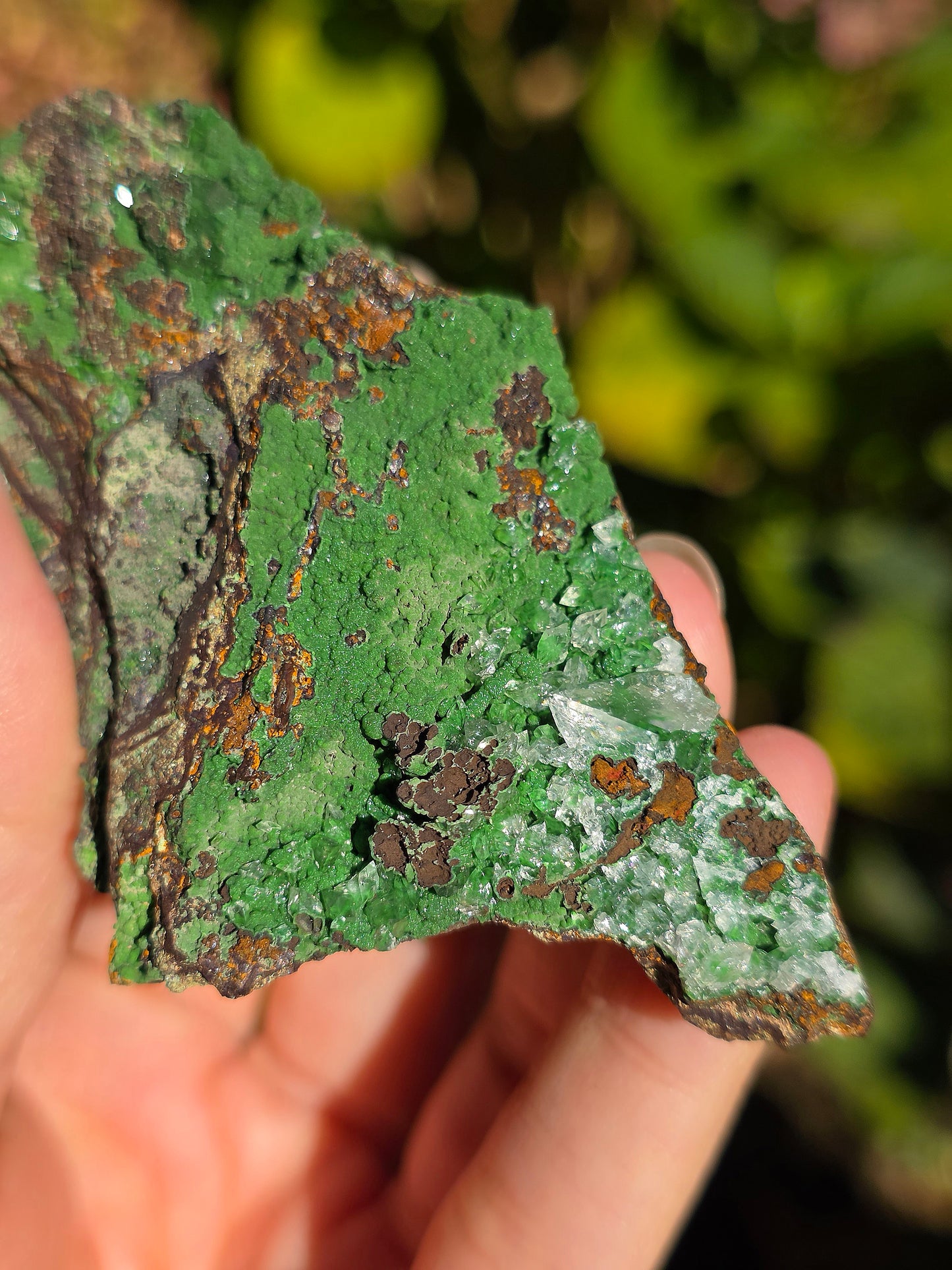 Conichalcite du Mexique