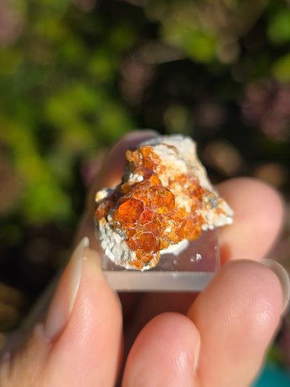 Grenat Spessartite de Chine n°1