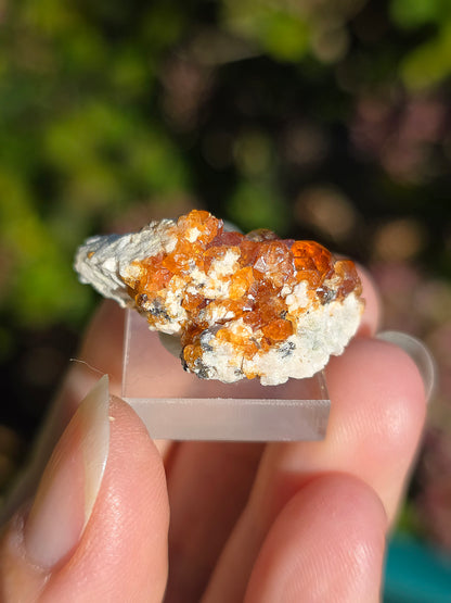 Grenat Spessartite de Chine n°1