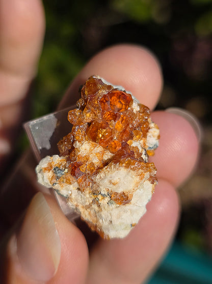 Grenat Spessartite de Chine n°1