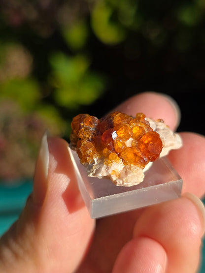 Grenat Spessartite de Chine n°3