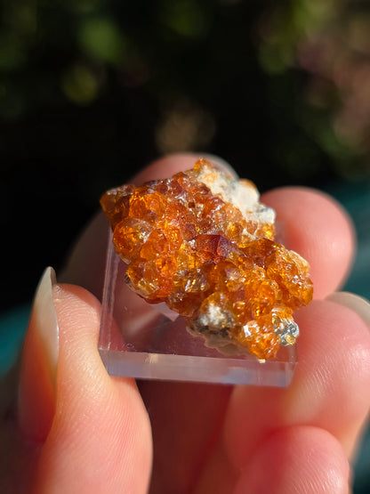 Grenat Spessartite de Chine n°4