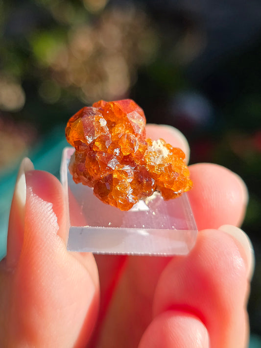 Grenat Spessartite de Chine n°5