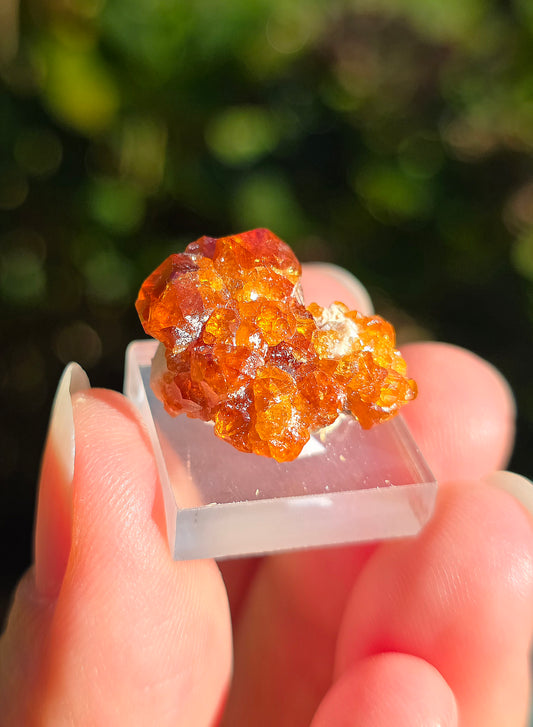 Grenat Spessartite de Chine n°5