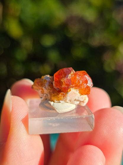 Grenat Spessartite de Chine n°5