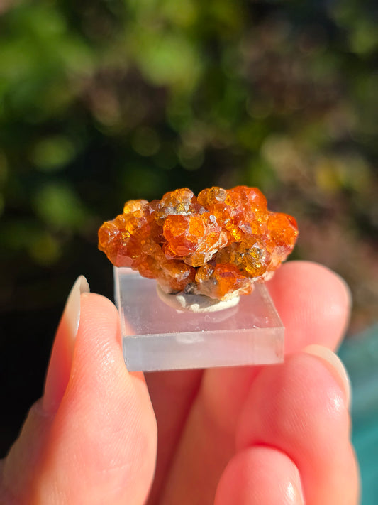 Grenat Spessartite de Chine n°6