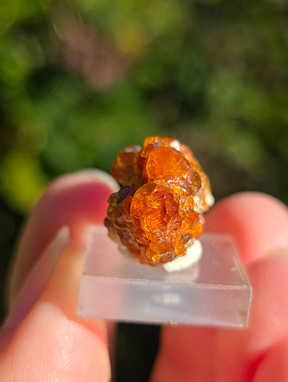 Grenat Spessartite de Chine n°6