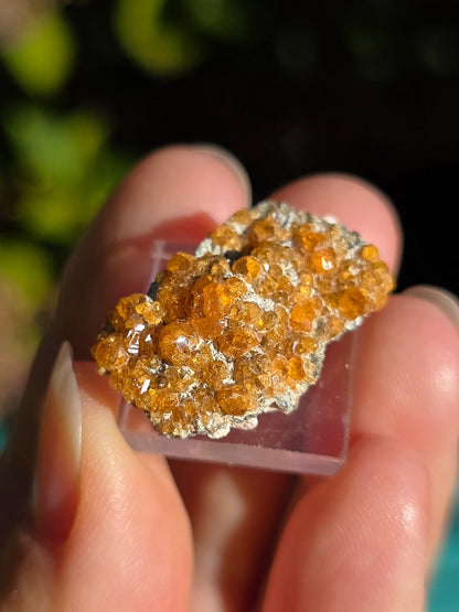 Grenat Spessartite de Chine n°8