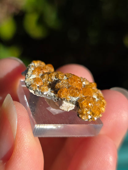 Grenat Spessartite de Chine n°8