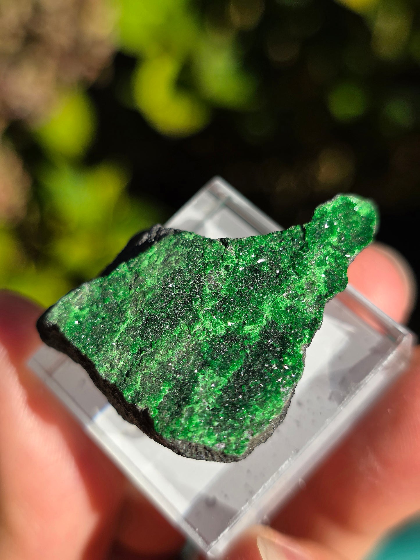 Grenat Uvarovite de Russie n°1