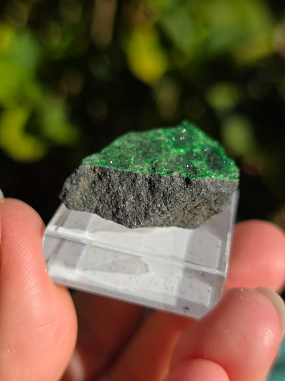 Grenat Uvarovite de Russie n°1