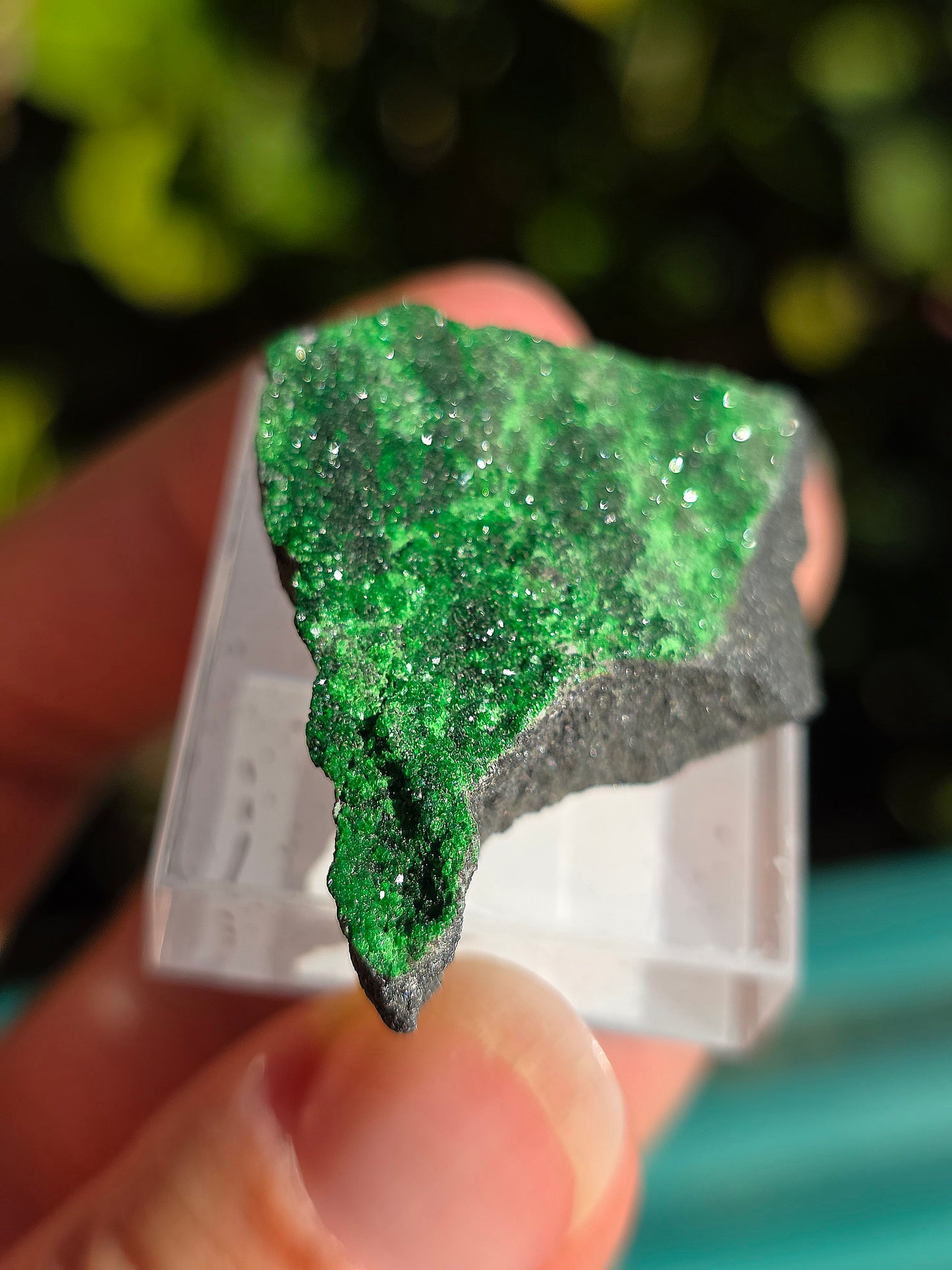 Grenat Uvarovite de Russie n°1