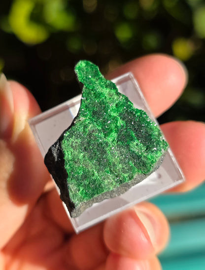 Grenat Uvarovite de Russie n°1
