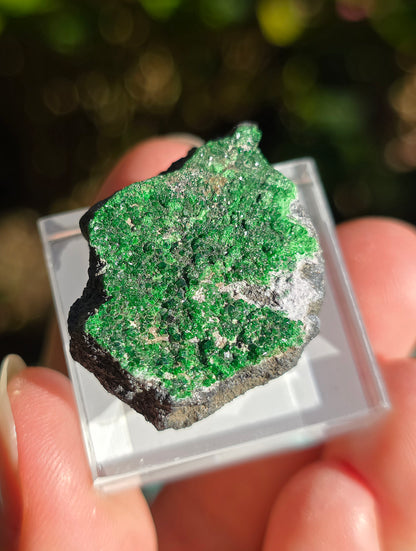 Grenat Uvarovite de Russie n°2