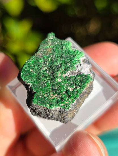 Grenat Uvarovite de Russie n°2