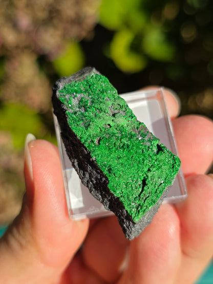 Grenat Uvarovite de Russie n°5