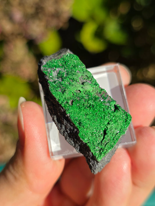 Grenat Uvarovite de Russie n°5