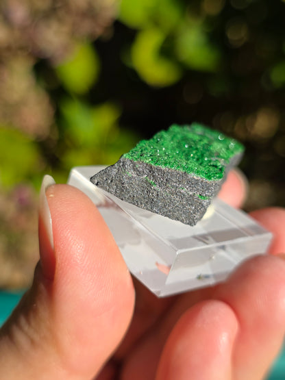 Grenat Uvarovite de Russie n°5