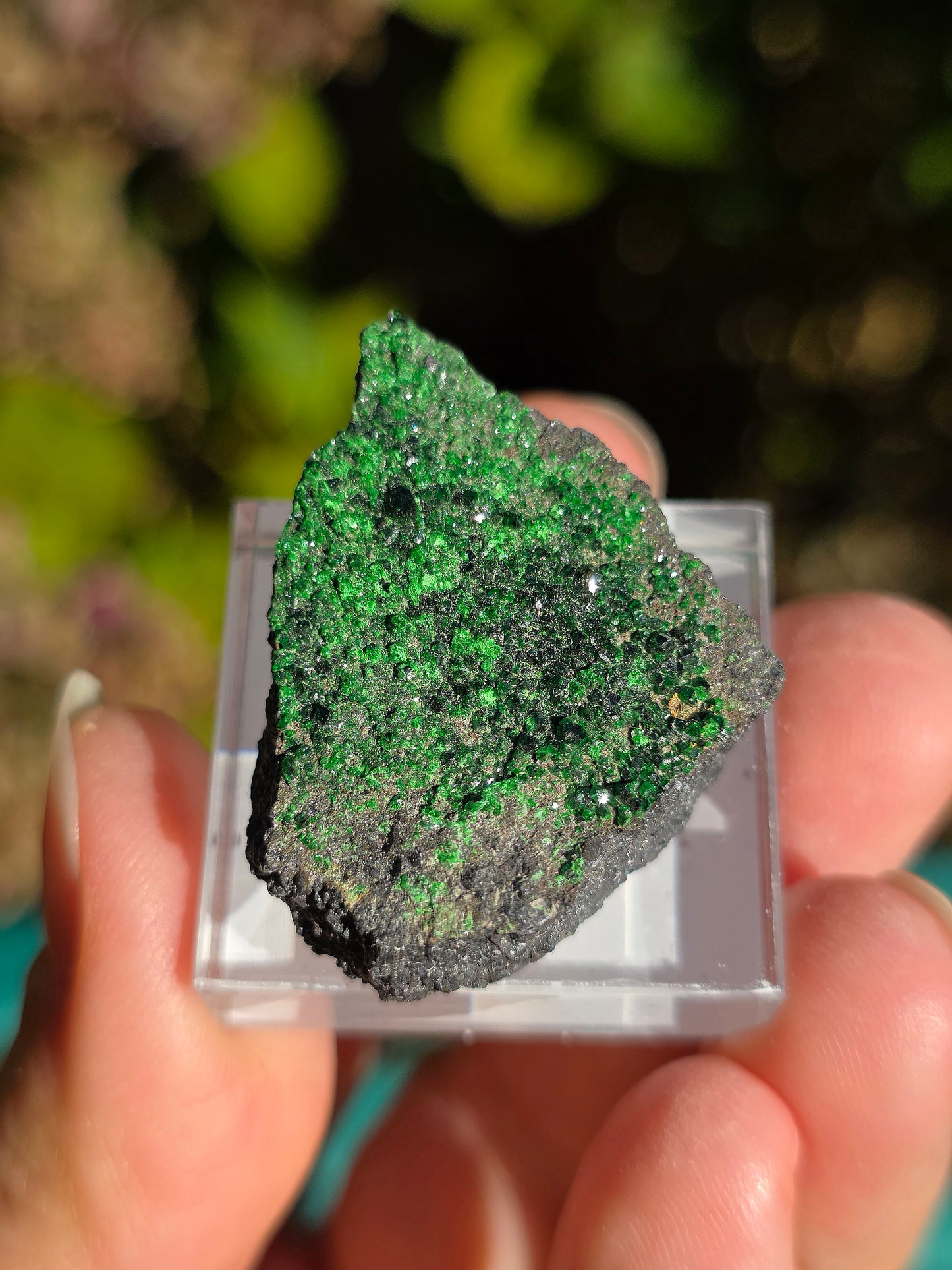 Grenat Uvarovite de Russie n°6