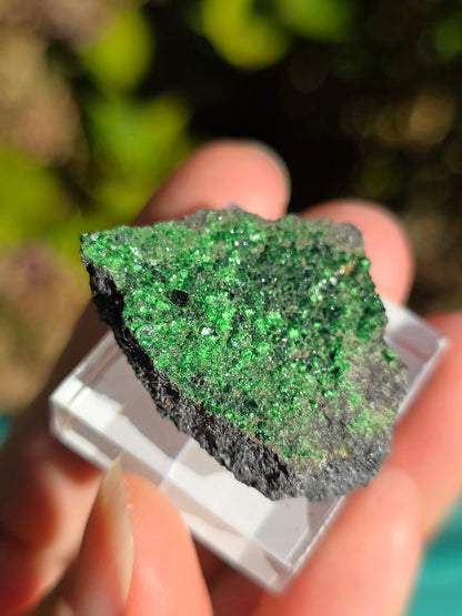 Grenat Uvarovite de Russie n°6