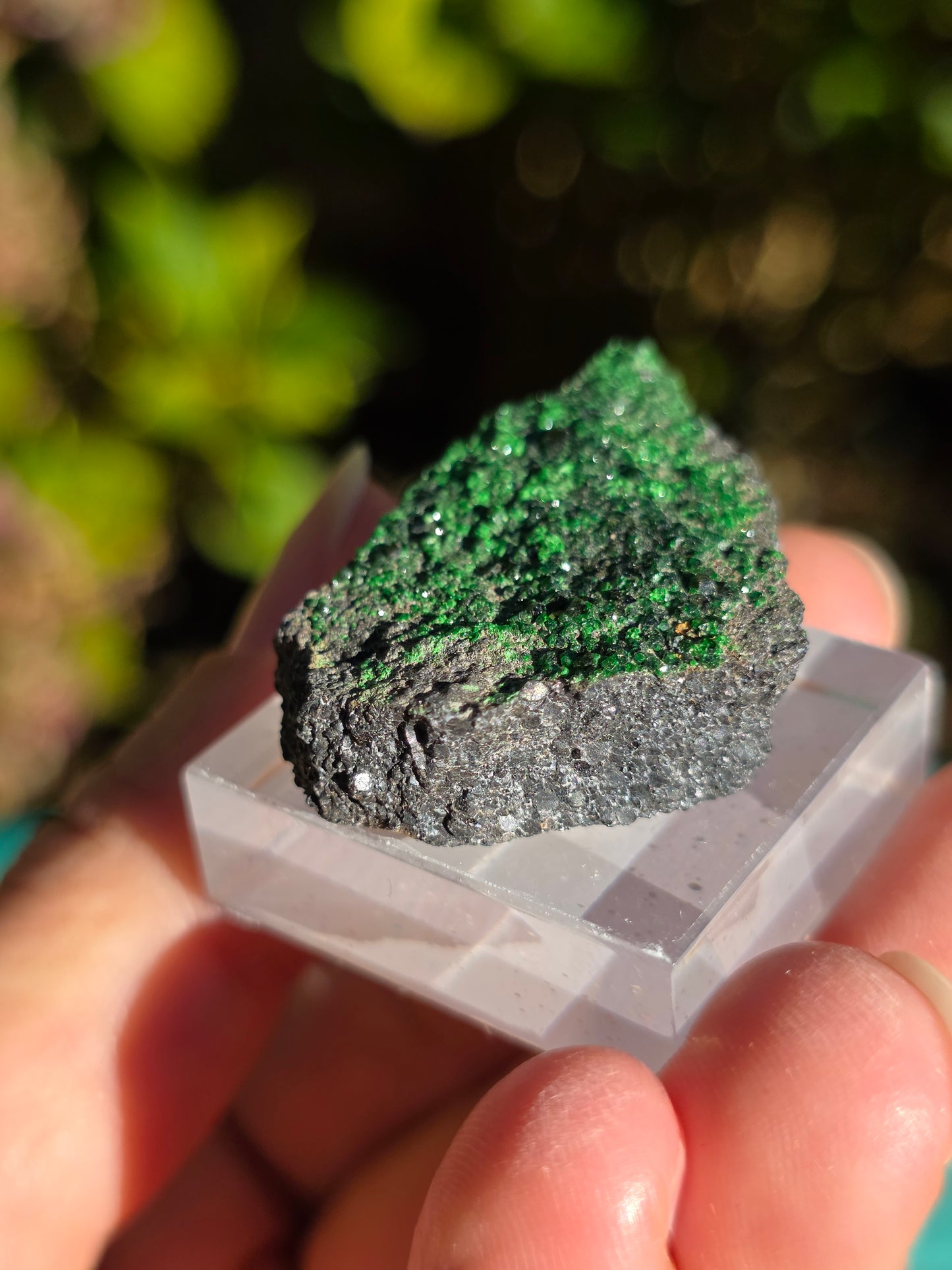 Grenat Uvarovite de Russie n°6