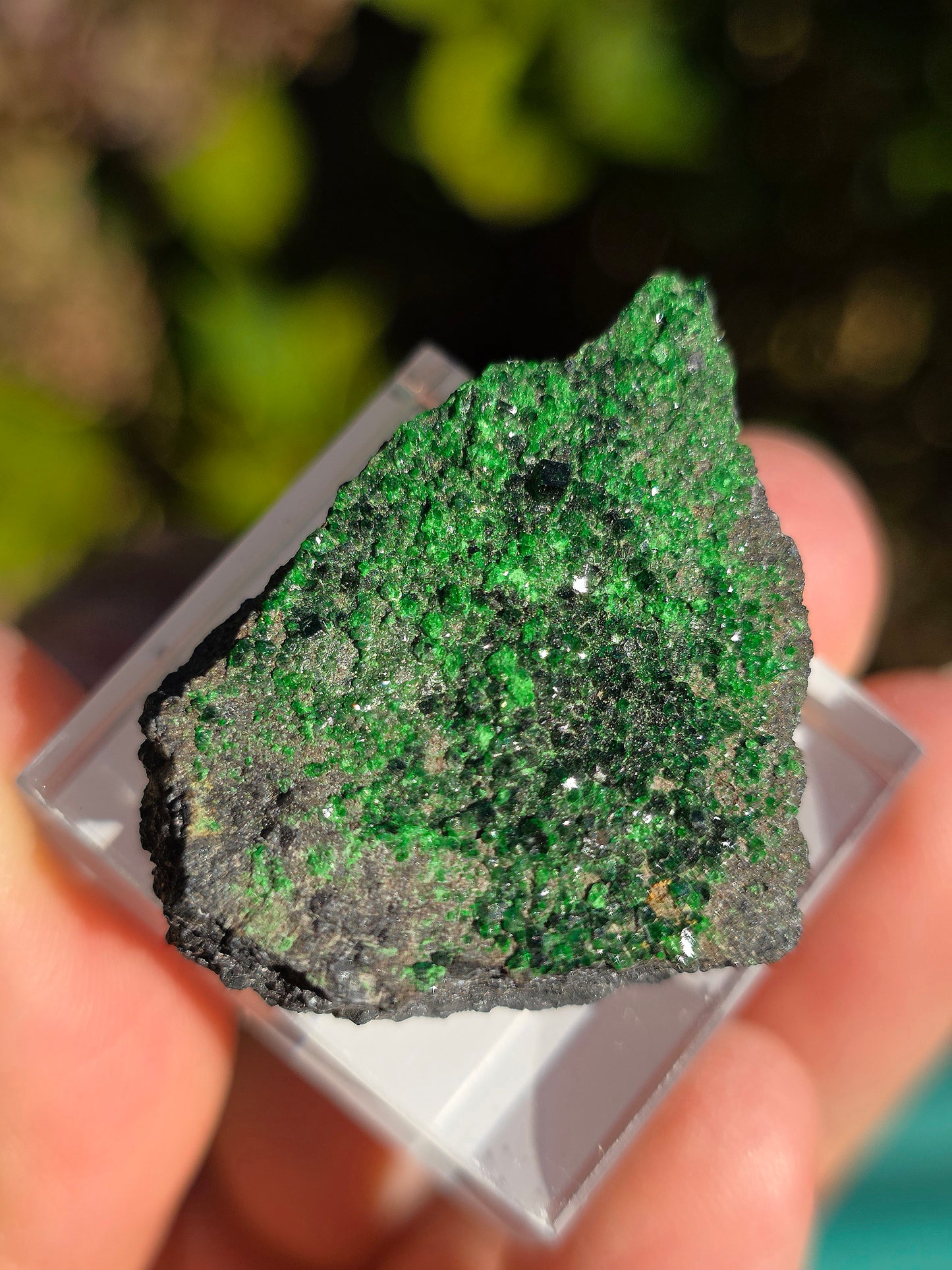 Grenat Uvarovite de Russie n°6