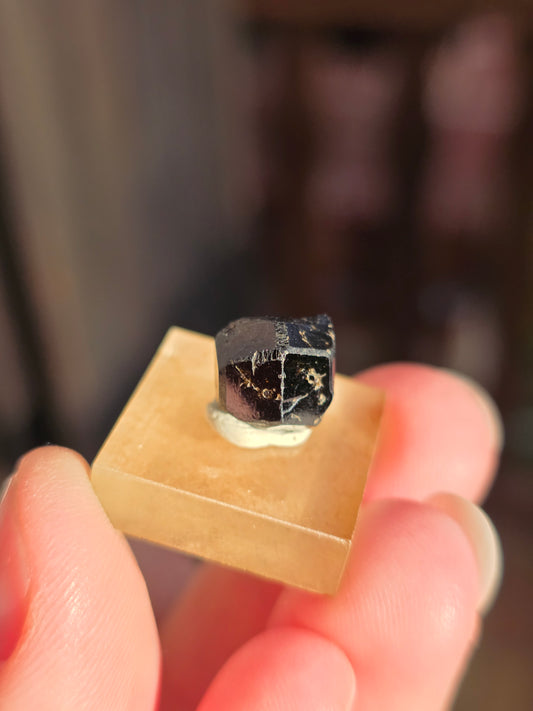 Grenat Mélanite du Mali n°2