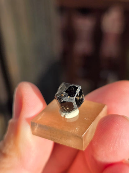 Grenat Mélanite du Mali n°2