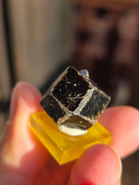 Grenat Mélanite du Mali n°4