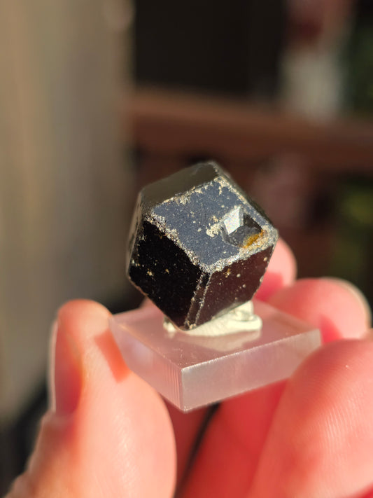 Grenat Mélanite du Mali n°5