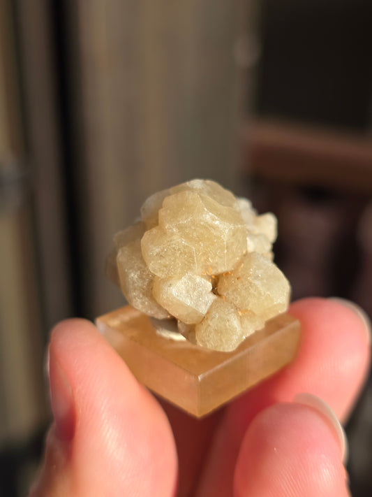 Grenat grossulaire du Mexique n°1