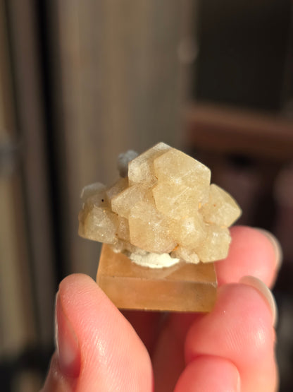 Grenat grossulaire du Mexique n°1