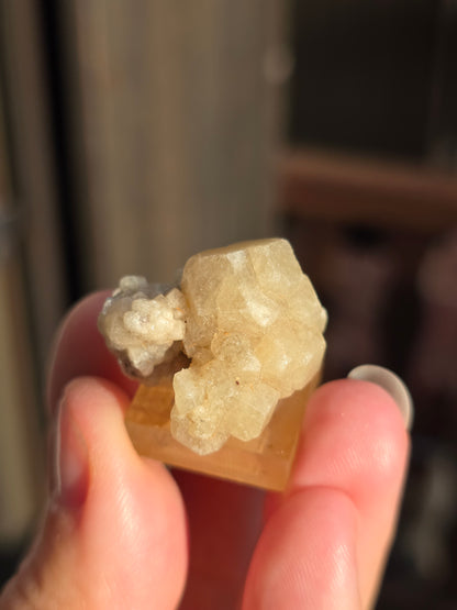 Grenat grossulaire du Mexique n°1