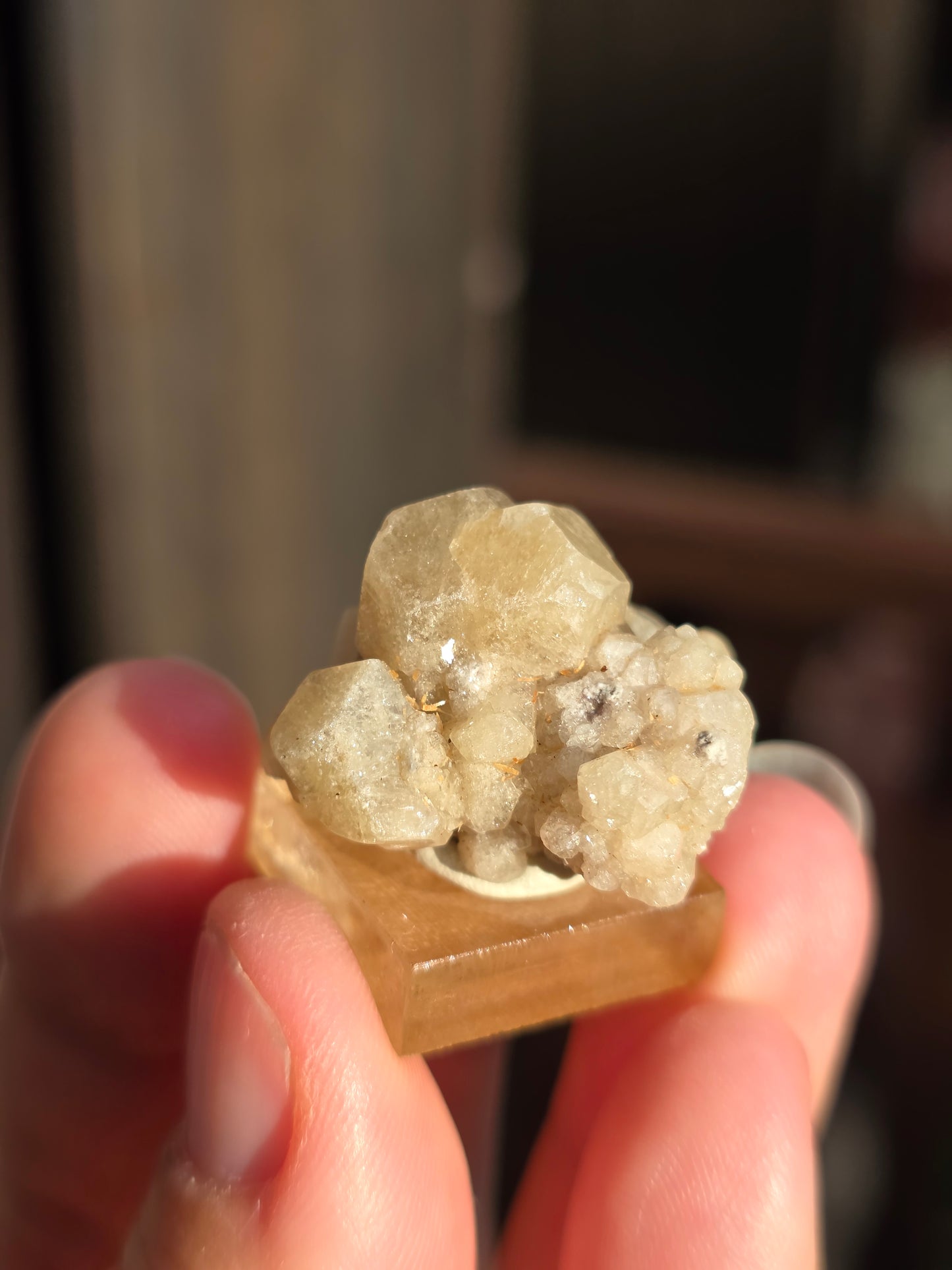 Grenat grossulaire du Mexique n°1