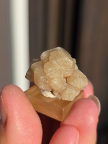 Grenat grossulaire du Mexique n°1