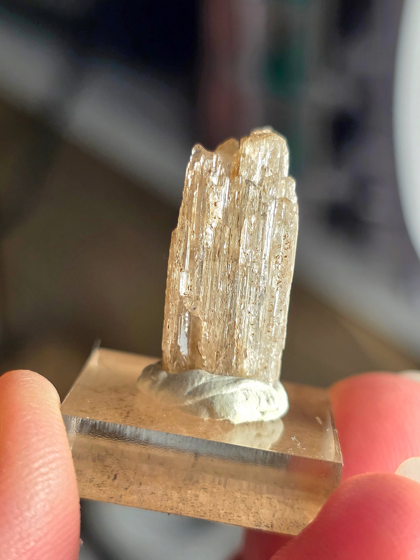 Scapolite du Brésil (à choisir)