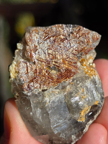 Quartz Sagénite n°3